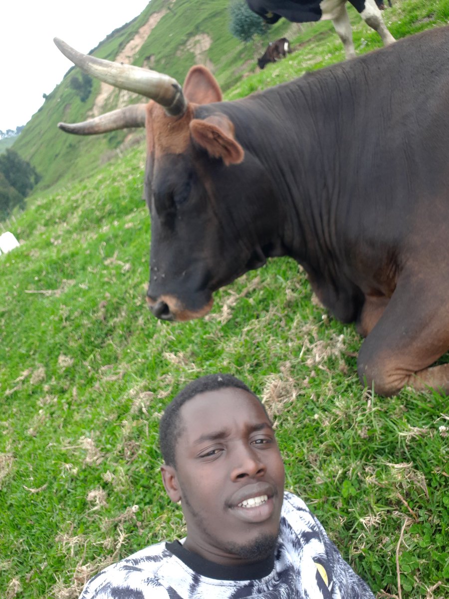 IBERE RYA BIGOGWE🇷🇼 tweet media