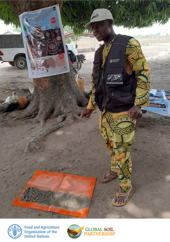 🌾🌱 Excited to share that the new certified #SoilDoctors have just completed their 4-day training for trainers in #Togo on #SoilHealth

They now can't wait to go back to their communities and empower local farmers  👨‍🌾

More on the Soil Doctors Programme: fao.org/global-soil-pa…