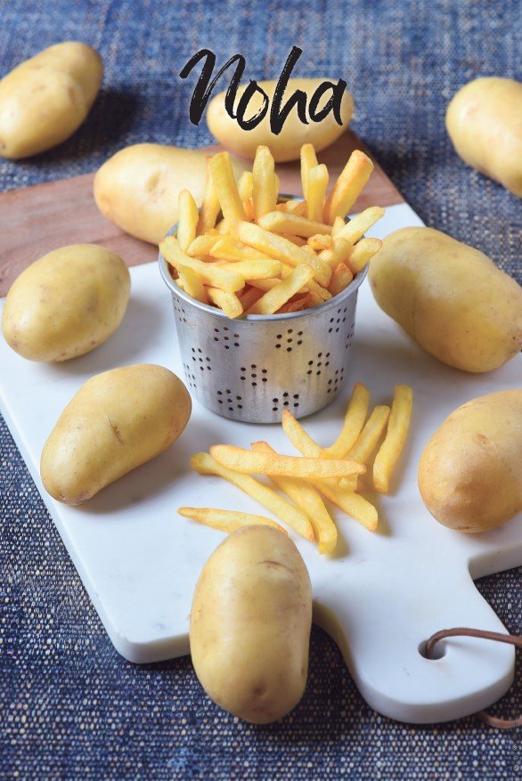 Germicopa tweet media