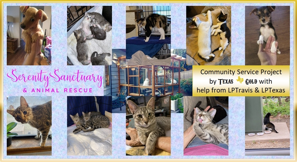 LPTravisTX's tweet photo. @LPTexas @HaleGive #CommunityServiceProject: #Catio for an Animal Rescue Sanctuary, mostly on Sunday the 26th
This is #Libertarians caring for others (#government sure doesn't). Please volunteer if you can!
Come for the warm fuzzies -- literally, there will be kitties.
https://t.co/yTd2lIhPmX https://t.co/CkgRqeRyAR