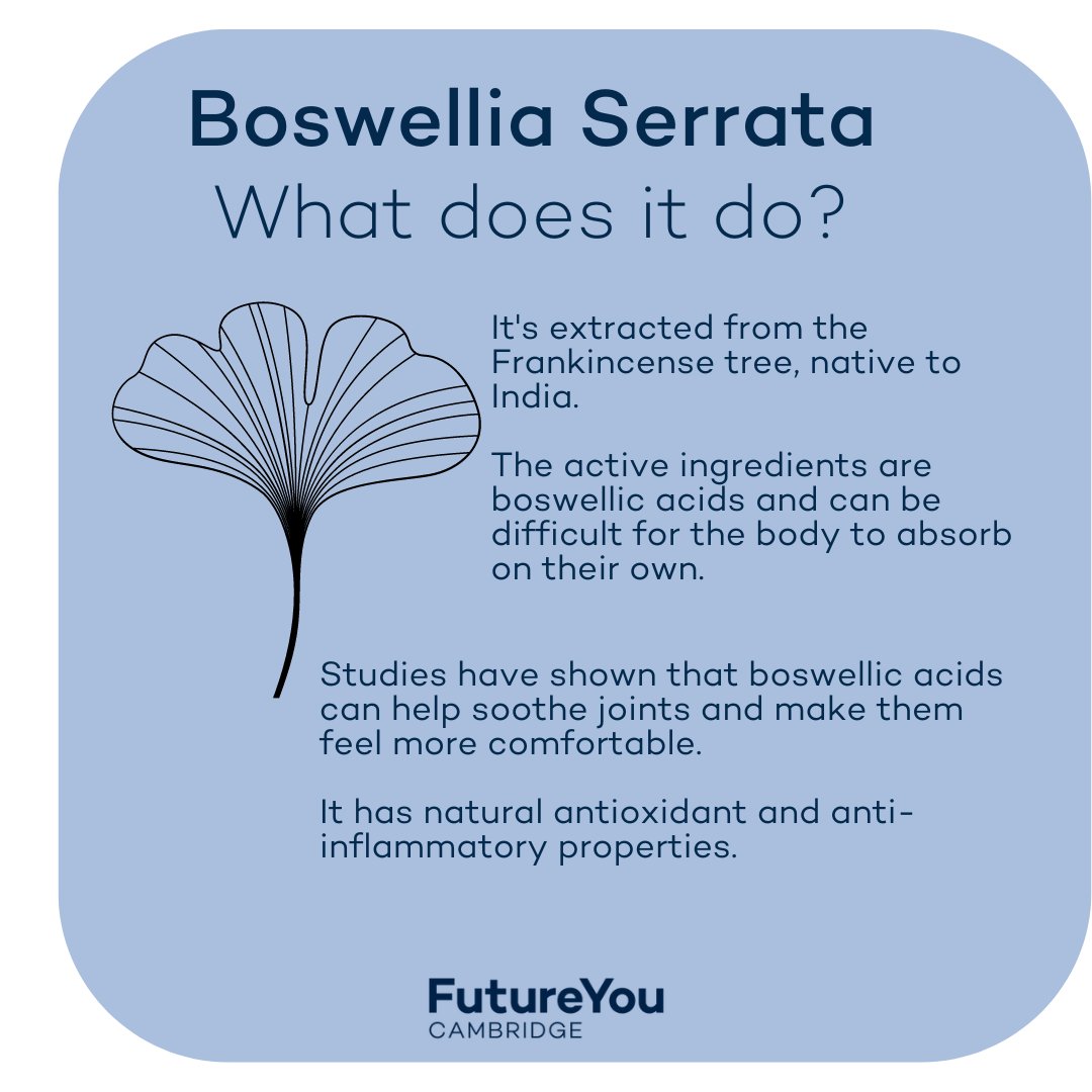 Have you heard of Boswellia serrata? 
To find out more about this fascinating ingredient, why not head over to the Knowledge Centre - futureyouhealth.com/knowledge-cent…