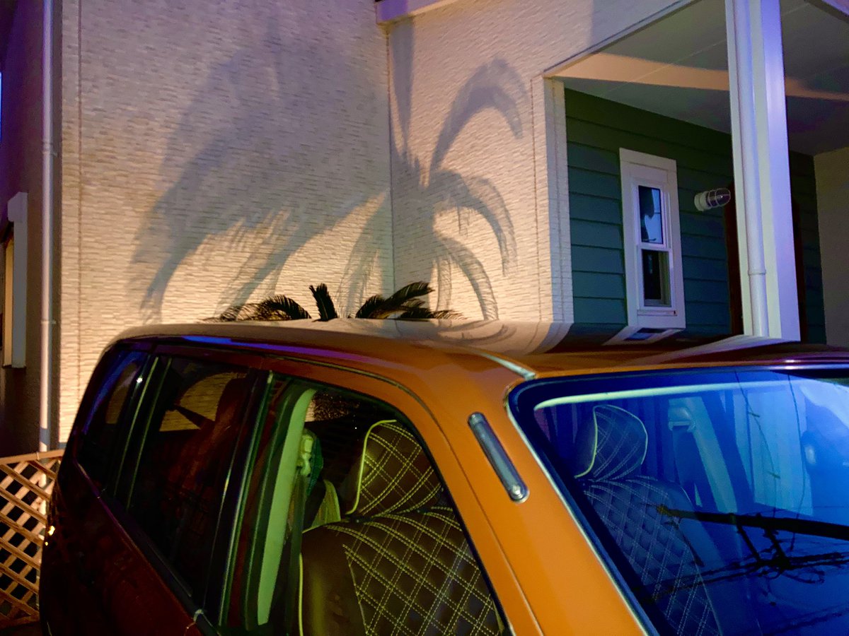 nosuketch_house's tweet image. 車の後ろに浮かぶ蘇鉄の影がすき🌴

#probox #カリフォルニア
#プロボックス