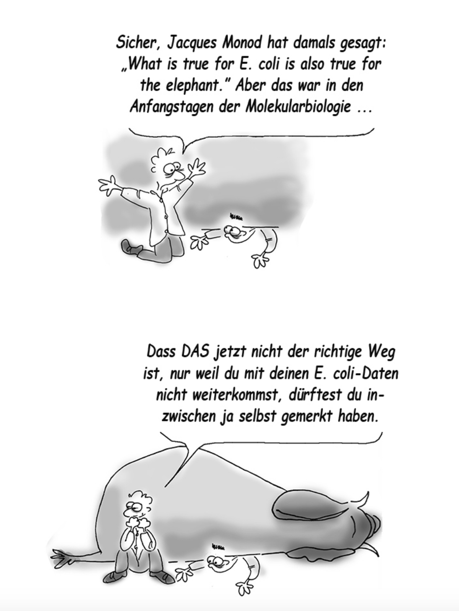 Lab_Journal's tweet photo. #BigScience?
(#LabComic #Labfun) https://t.co/YNovTf3V4U
