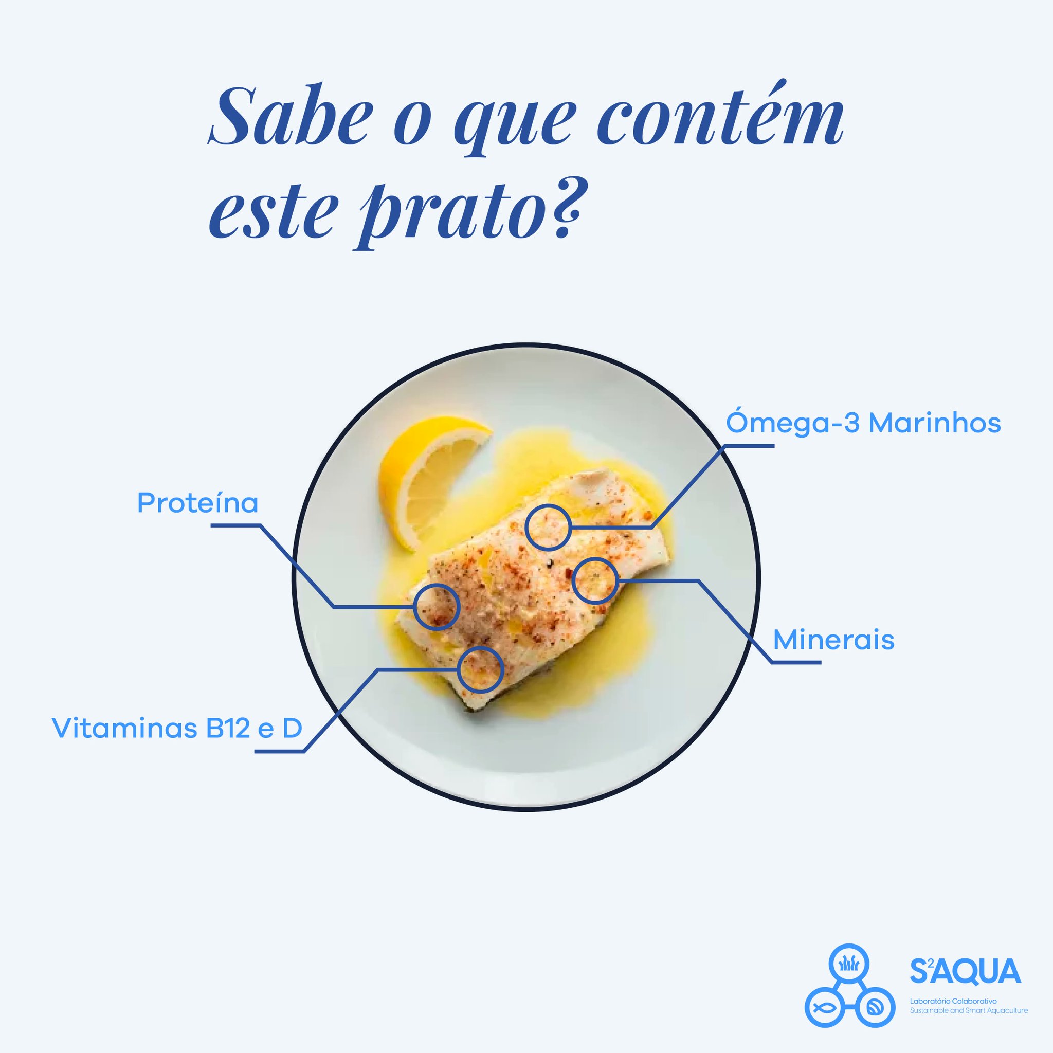 S2AQUAcoLAB on Twitter "Seabass is a tasty fish rich in essential