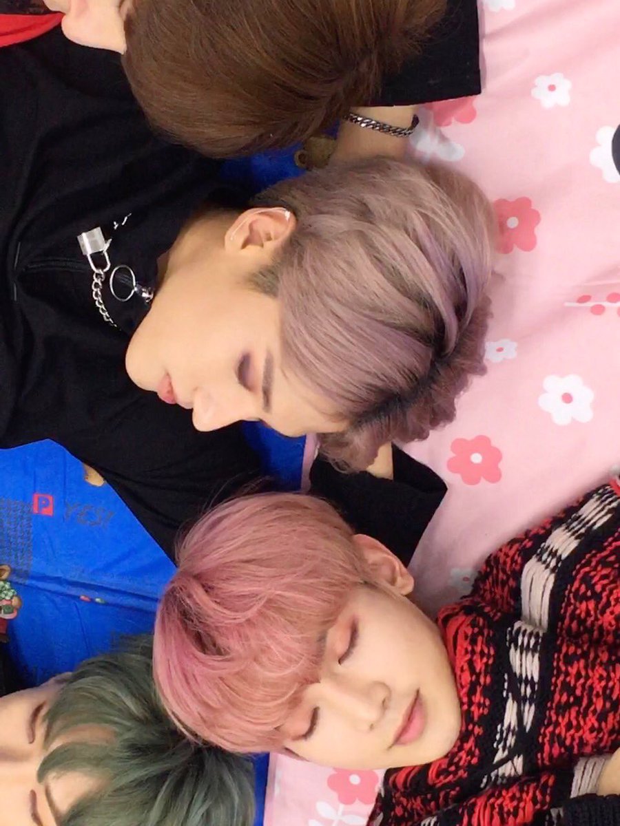 YE0__D9's tweet photo. 탐라에 여우즈 뿌리기 https://t.co/MXF0CdFcaX