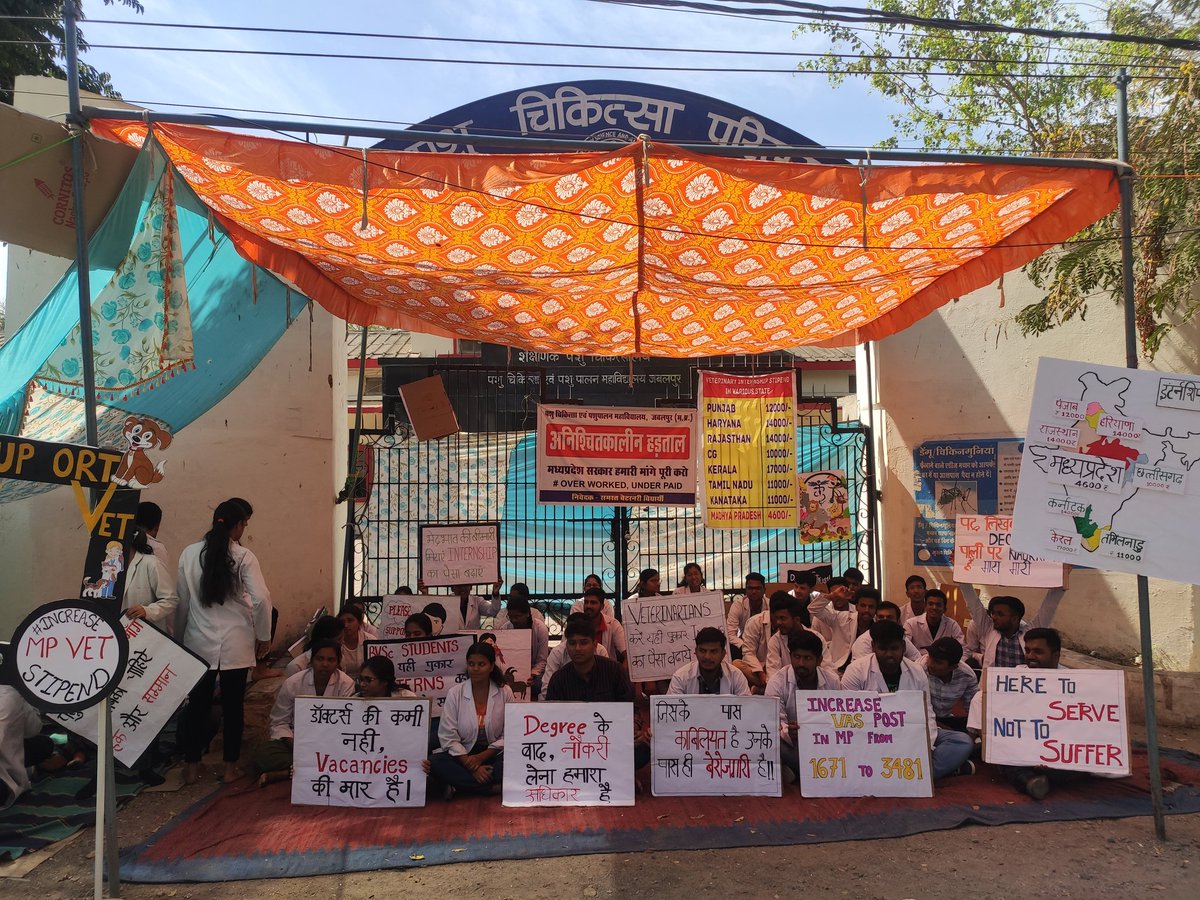 VetyJBP's tweet photo. Strike day 11
हमारी मांगे अभी भी पूर्ण नहीं हुई हैं। MP शासन एवं मामाजी @ChouhanShivraj क्या आप पशुप्रेमी नहीं हैं? आश्चर्य
#increaseMPvetStipend #increase_MP_Vet_Stipend #vacanciesforvets @JagdishDevdaBJP @jitupatwari https://t.co/DmiAp9P9zX