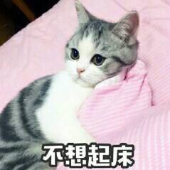 KeanuPrp's tweet photo. https://t.co/1sxO4l6zhE