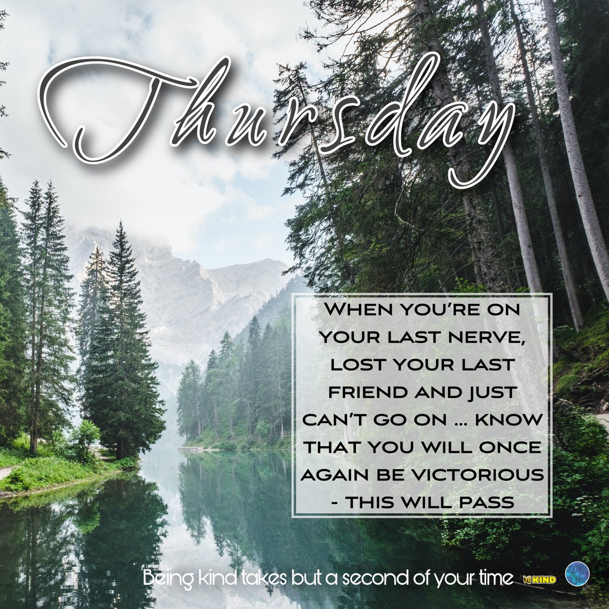 QuotesrusF's tweet photo. 😘❣️ HA🅿️🅿️Y THURSD🔅Y ‼️ When you’re on your last nerve, lost your last friend and just can’t go on … know that you will once again be victorious - this will pass ❣️ 🙋🏻♀️ 🐝 KIND
#happythursday #beekind #teamhumanity #beingkindtakesbutasecondofyourtime #thiswillpass https://t.co/0BnUfAyPay