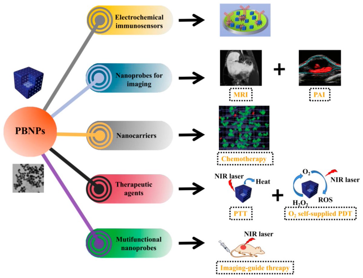 Sensors_MDPI's tweet image. #highlycitedpaper
The Application of Prussian Blue Nanoparticles in Tumor Diagnosis and Treatment 
mdpi.com/1424-8220/20/2…
#prussianbluenanoparticles #immunosensors #imaging #drugdelivery #imagingguidedtherapy