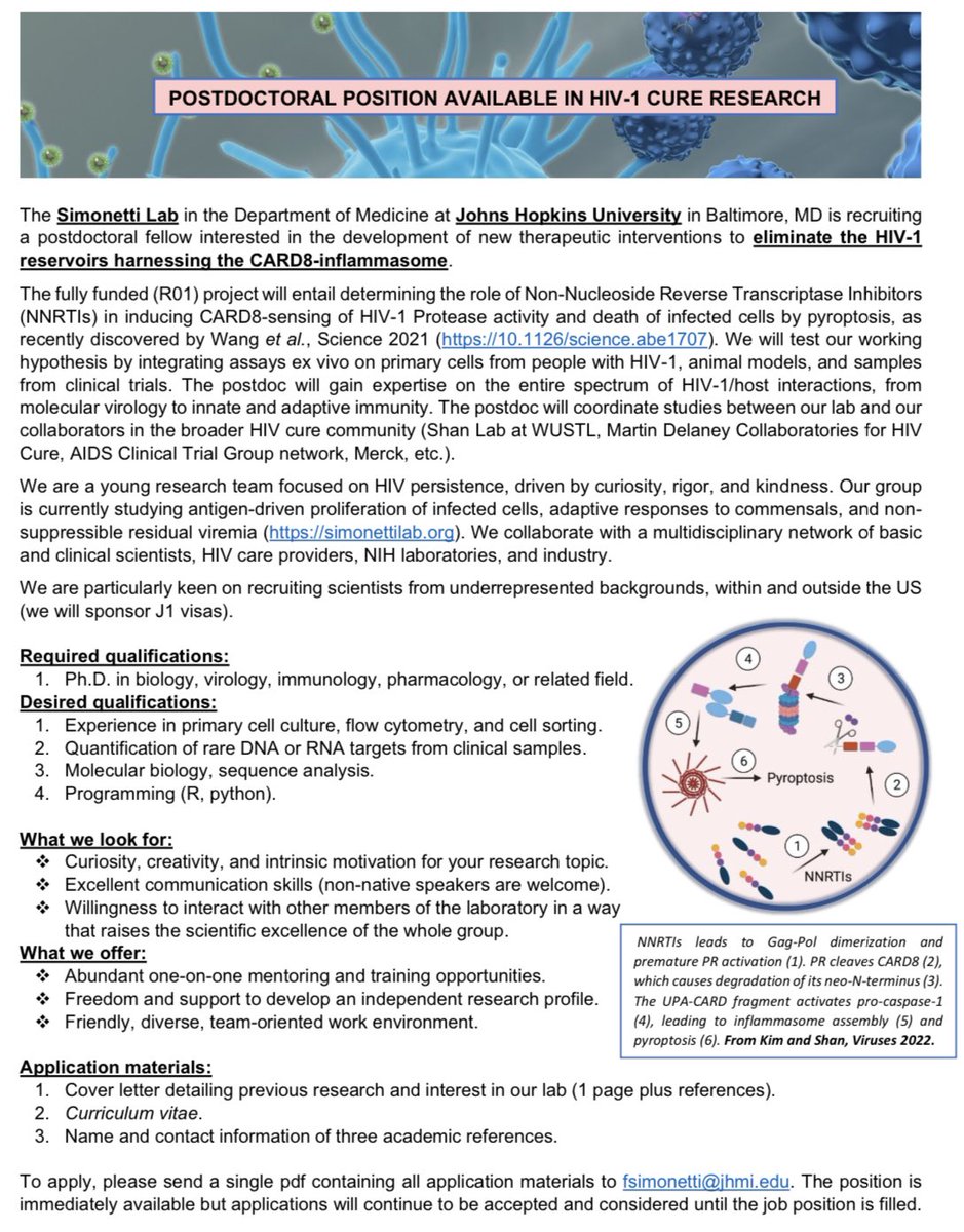 ✨✨Our team is #expanding! ✨✨
We are recruiting a #postdoc for a new NIH-funded project. Info below. Please retweet! @HopkinsCFAR @NCICCR_HIVDRP @DAREtoCureHIV @CMM_JHU @NIH_CommonFund #CROI2023