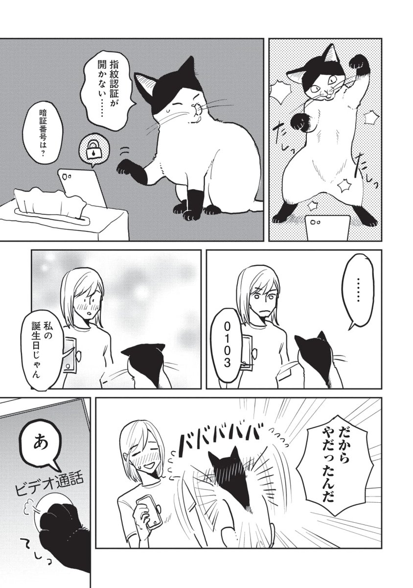 (3/3) 