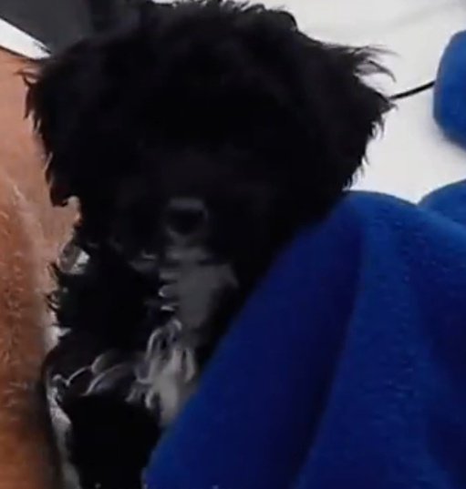 OpinardeEstoVoy's tweet photo. #MoraGH #GranHermano
#GH2023 #GH2022 #GH22 #GH23 #GHArgentina

La mora de la que nos vamos a acordar que estuvo en GH //la otra mora que vamos a tratar de recordar q estuvo en este  GH que vamos a saber quién era por esta momento bully https://t.co/Qqd3jkPbIN