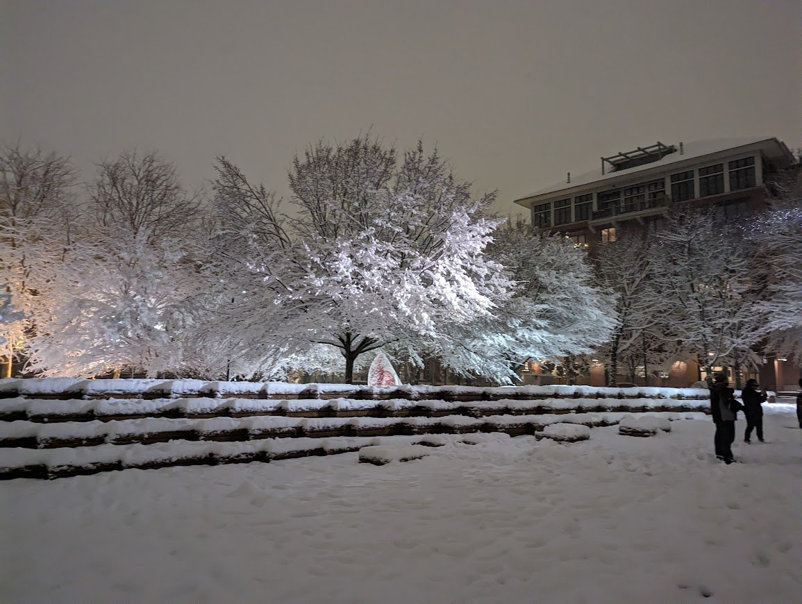 skywaker9's tweet image. Snow makes everything look pretty.  Jamison Square in NW Portland.  #pdxtst