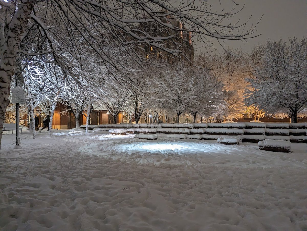 skywaker9's tweet image. Snow makes everything look pretty.  Jamison Square in NW Portland.  #pdxtst