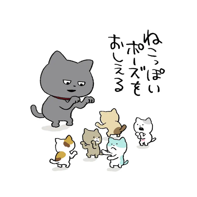 ねこはみんな、ねこっぽさを特訓しているのかもしれない。#わるめのねこ#こねこ #ねこワークショップ#ねこっぽさ #ねこっぽいポーズ#にしむらゆうじ 