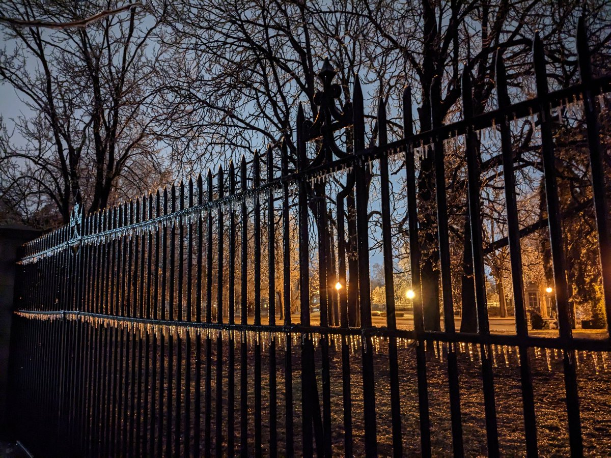 Went out for a midnight walk to have a gawk at all the ice on stuff.