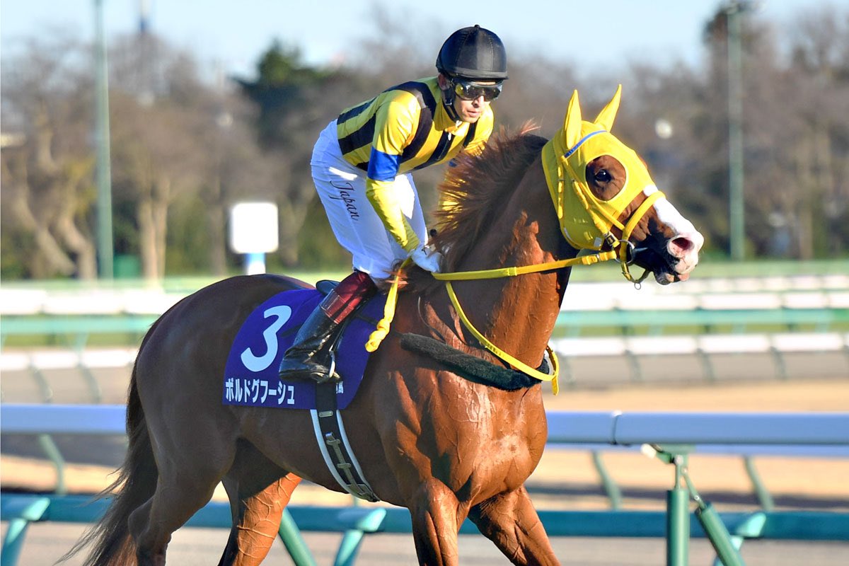 川田かー 
菊花賞で1.2番人気4回乗ってヴェロックス以外飛ばしてるからなー
吉田隼人でええやろ 