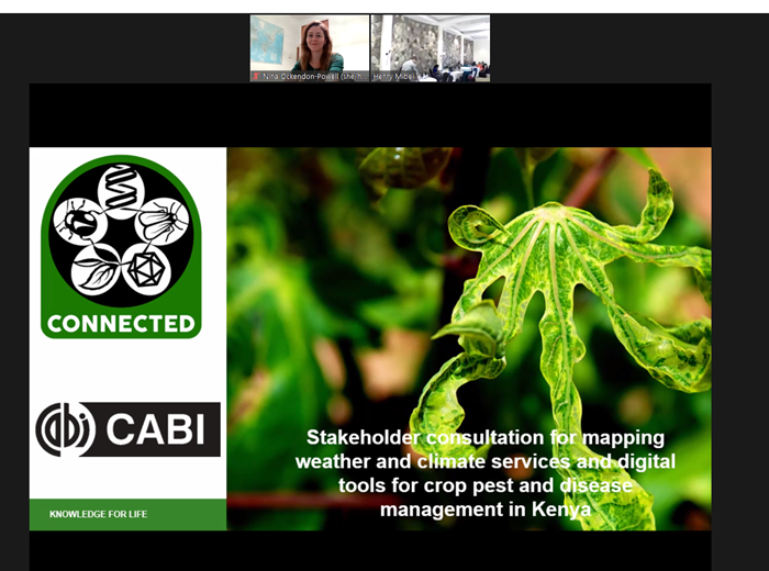 Nina Ockendon-Powell (@wildhappywell) on Twitter photo <a href="/CONNECTED_Virus/">PlantVirusVectors</a> <a href="/BristolBioSci/">University of Bristol Biological Sciences</a> <a href="/metoffice/">Met Office</a> Super excited to be collaborating with <a href="/CABI_Plantwise/">CABI PlantwisePlus</a> on an expert stakeholder consultation in Kenya to map weather and climate information and tools for pest and disease management! #ClimateTools4Pests #climate #foodsecurity #plants <a href="/CONNECTED_Virus/">PlantVirusVectors</a> <a href="/BristolBioSci/">University of Bristol Biological Sciences</a> <a href="/metoffice/">Met Office</a> Super excited to be collaborating with <a href="/CABI_Plantwise/">CABI PlantwisePlus</a> on an expert stakeholder consultation in Kenya to map weather and climate information and tools for pest and disease management! #ClimateTools4Pests #climate #foodsecurity #plants