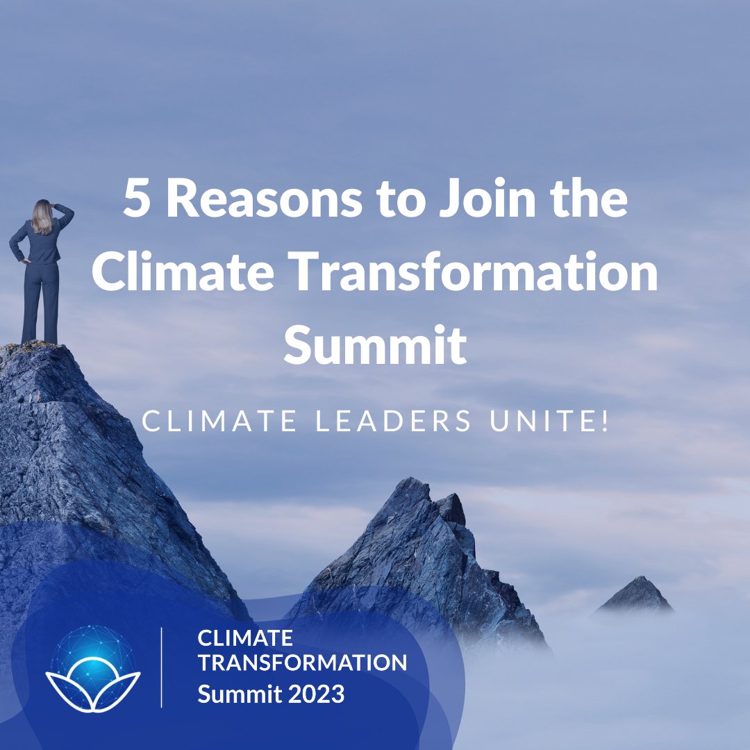 The Climate Choice tweet media