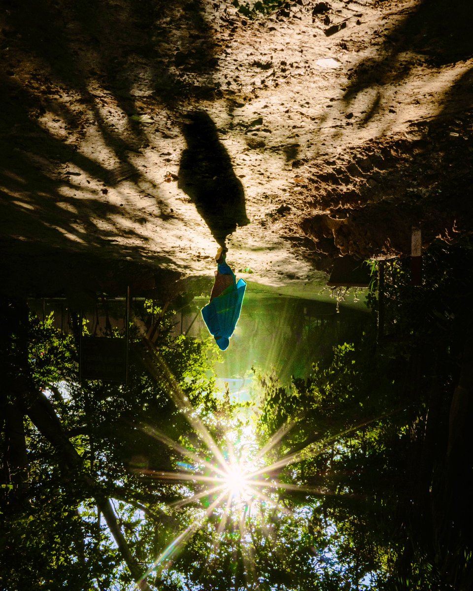 saga21jaishal's tweet photo. Light is a Gift from the Heavan for the Photographers, to create such beauty!
🥹❤️
#lightgames https://t.co/jIWAO2l2aI