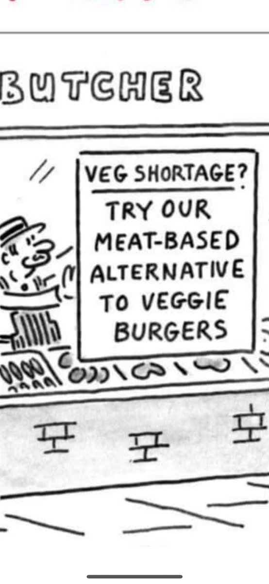 Good morning/ Bora da .