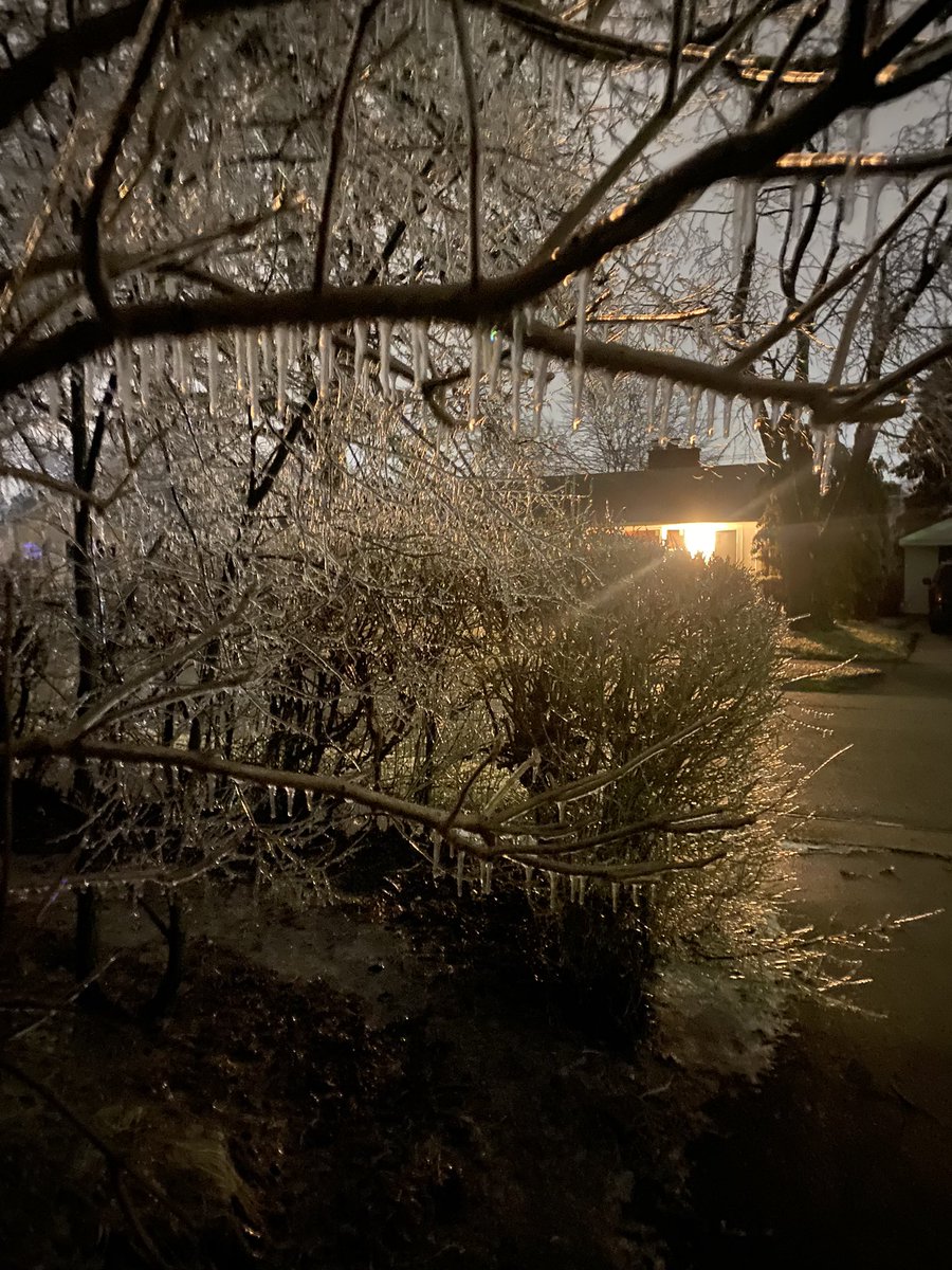 The ice storm in #metrodetroit area