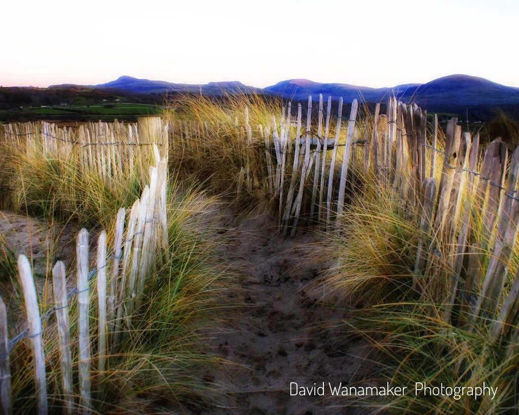 rustictable's tweet photo. A way to the beach. Sand dunes at Llandanwg Beach near Harlech. #wales #walesofinstagram #northwales #harlech #welshscenery #welshbeach #welshcountryside #sanddunes #walkways #dreamy #llandanwgbeach #capturebritain #beach #fences #beautifulwales #explori… https://t.co/GMwU4eoNfz https://t.co/lg7rowZydJ