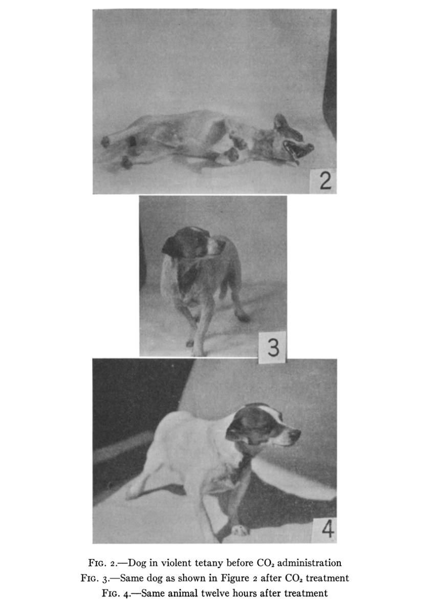 ThomasDPereira's tweet photo. @l_CAN_CLlCK Swingle (1928) https://t.co/NGWWh96IBx