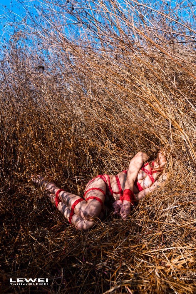 大理~
#LEWEI #Shibari  #BabyArt #ChinaBondage #ChinaArt #Bondage #废墟捆绑
各类主题创作拍摄欢迎私我约拍～
投稿：
@Fengsiyuan 
@tbzt3623
@wqganenshi_ https://t.co/VSOo1TGDQL