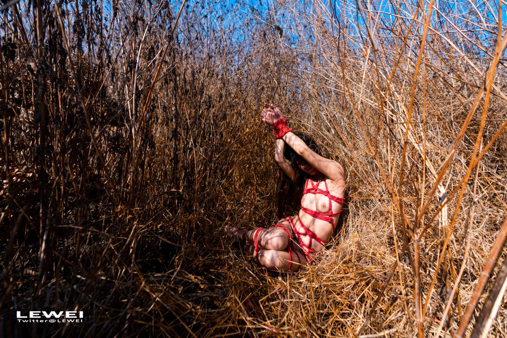 大理~
#LEWEI #Shibari  #BabyArt #ChinaBondage #ChinaArt #Bondage #废墟捆绑
各类主题创作拍摄欢迎私我约拍～
投稿：
@Fengsiyuan 
@tbzt3623
@wqganenshi_ https://t.co/VSOo1TGDQL