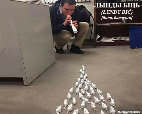 lana_shera's tweet photo. Выслоўе дня: лы́нды біць – гультаяваць, бязьдзейнічаць; займацца пустымі справамі); [рас. бить баклуши] #беларускіяфразэмы #пабеларуску https://t.co/4l4pKyNJOm