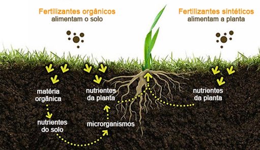“Hay que hablar con el suelo para aumentar su vida. Alimentemos el suelo, no a la planta”,#vino #viticultura