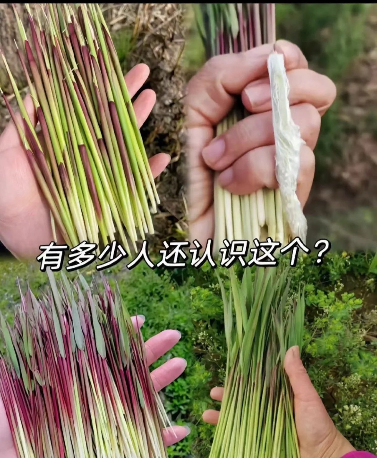 微微细雨(互of可) on Twitter