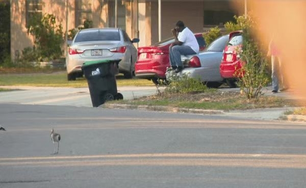tysnetwork's tweet photo. 11:00 am, 2023GUNMAN KILLS 3, INCLUDING TV NEWS JOURNALIST COVERING EARLIER CRIME, 9-YEAR-OLD GIRL: SHERIFF
A man approached the news vehicle and opened fire, then walked to a nearby home and shot a mother and daughter, witnesses say https://t.co/WHW4TOLZks