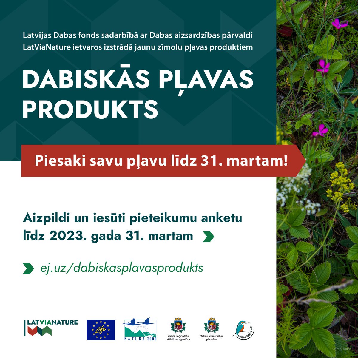 🌿 Latvijas Dabas fonds projektā <a href="/LatViaNature/">LIFE-IP LatViaNature</a>  sāk dabiskās pļavas produktu zīmola izveidi un aicina pieteikties dabisko pļavu saimniekus.
✔️Pieteikums: ej.uz/dabiskasplavas… 
👉 latvianature.daba.gov.lv/jaunumi/plavu-…
