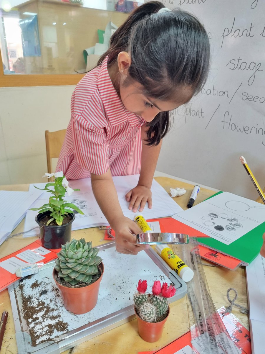 Year 2 | DESS Dubai tweet media