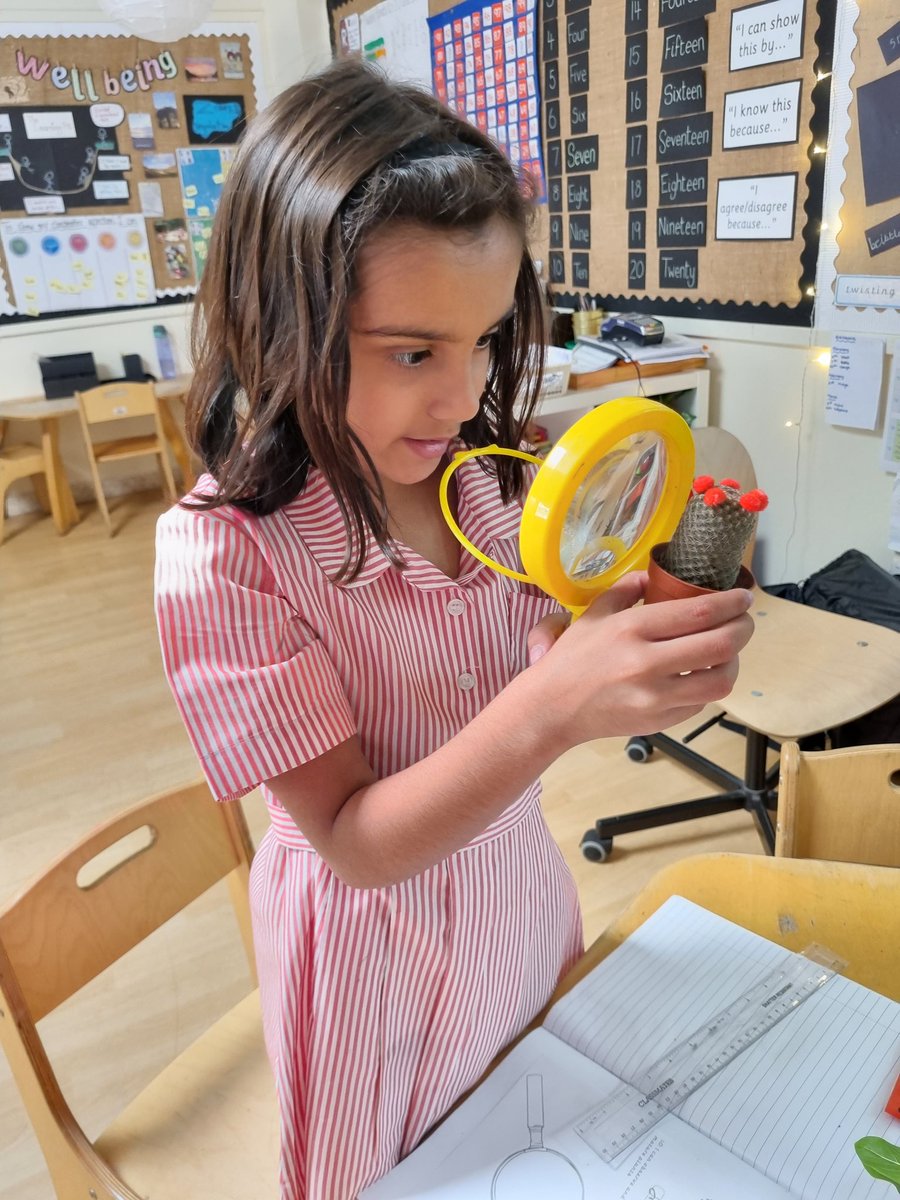 Year 2 | DESS Dubai tweet media