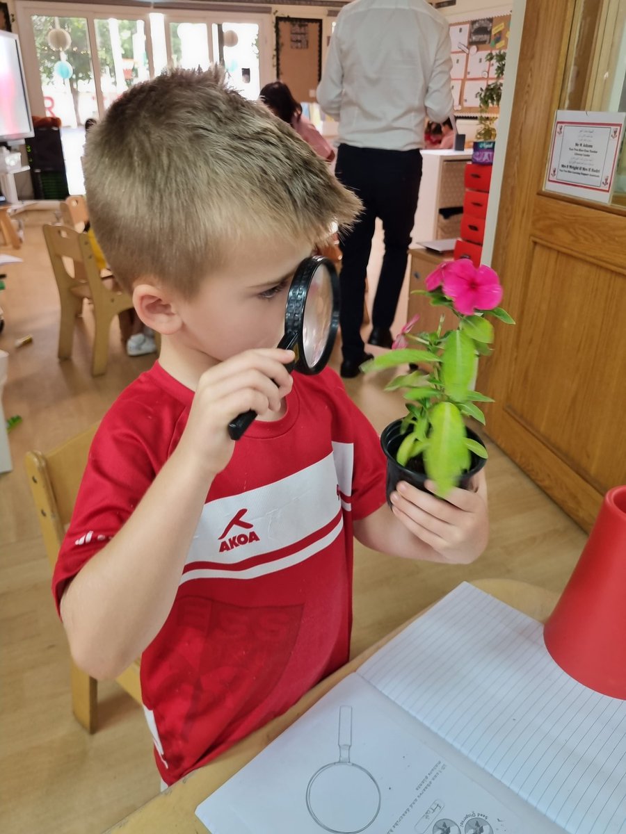 Year 2 | DESS Dubai tweet media