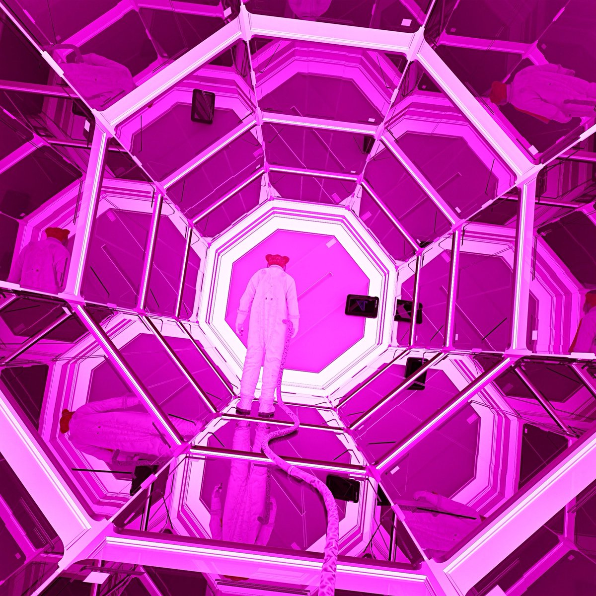 Violetswap tweet media