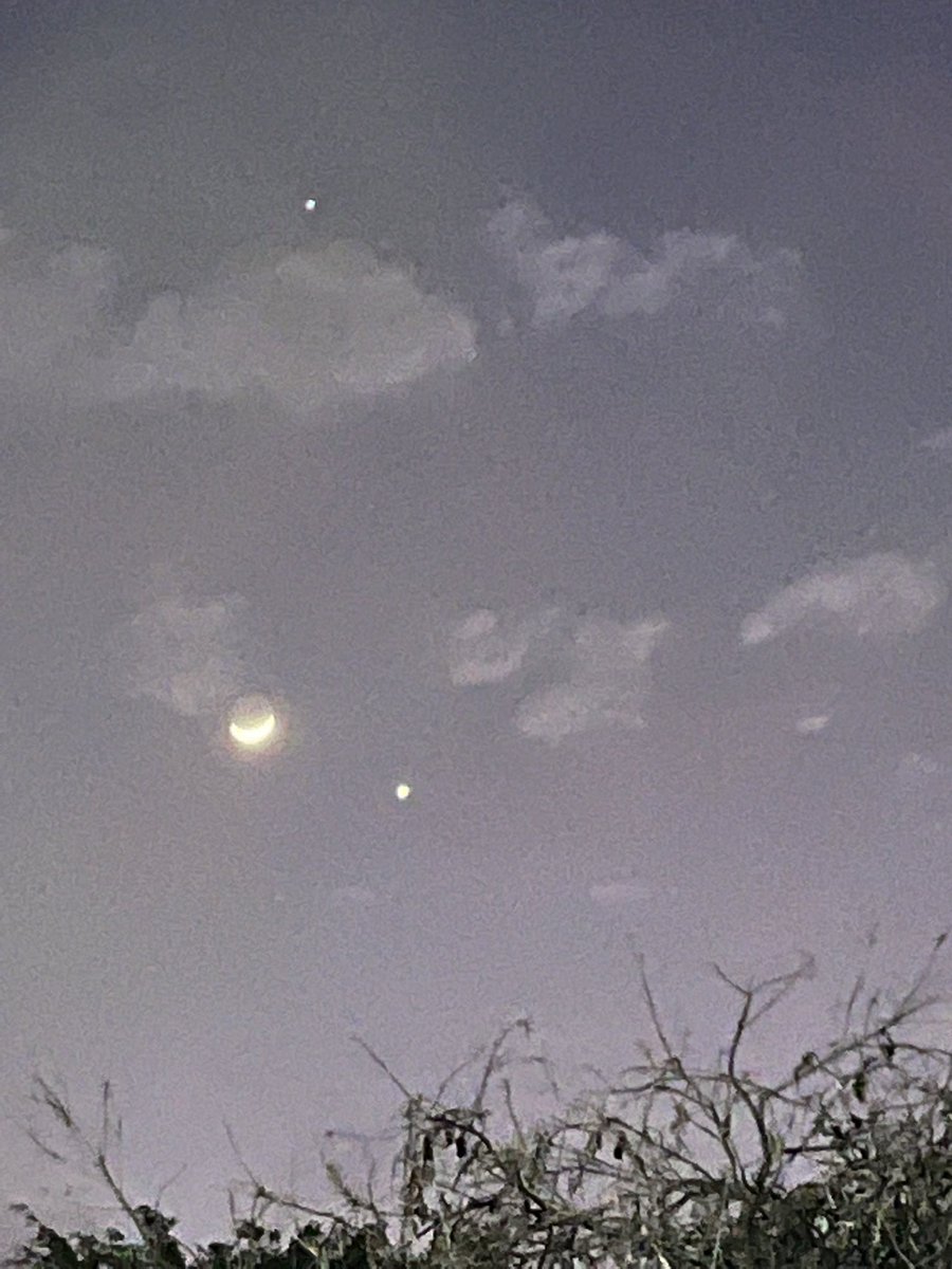 MohitaSharma11's tweet photo. A rare conjunction of waxing crescent moon 🌒 with Venus and Jupiter, the three brightest objects in our night sky in the same order.I love this 😍🤩🌙🌟✨⭐️🌖💫❤️❤️ #astronomy #astrophotography #astrophisics #astrophysics #scientist #spacex #NASA #spacexupdate https://t.co/kQKlNTghya
