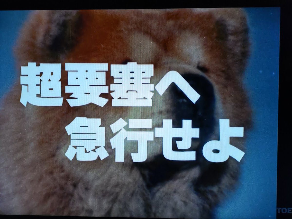 デンジピンク (桃井あきら )役で大変有名な小泉あきら(弓あきら)さんですが、Wikipediaなどで拝見した所、特撮イベントへの出演やCM ...