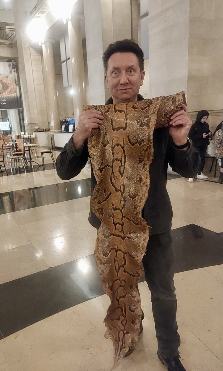 Cardiff Curator tweet media