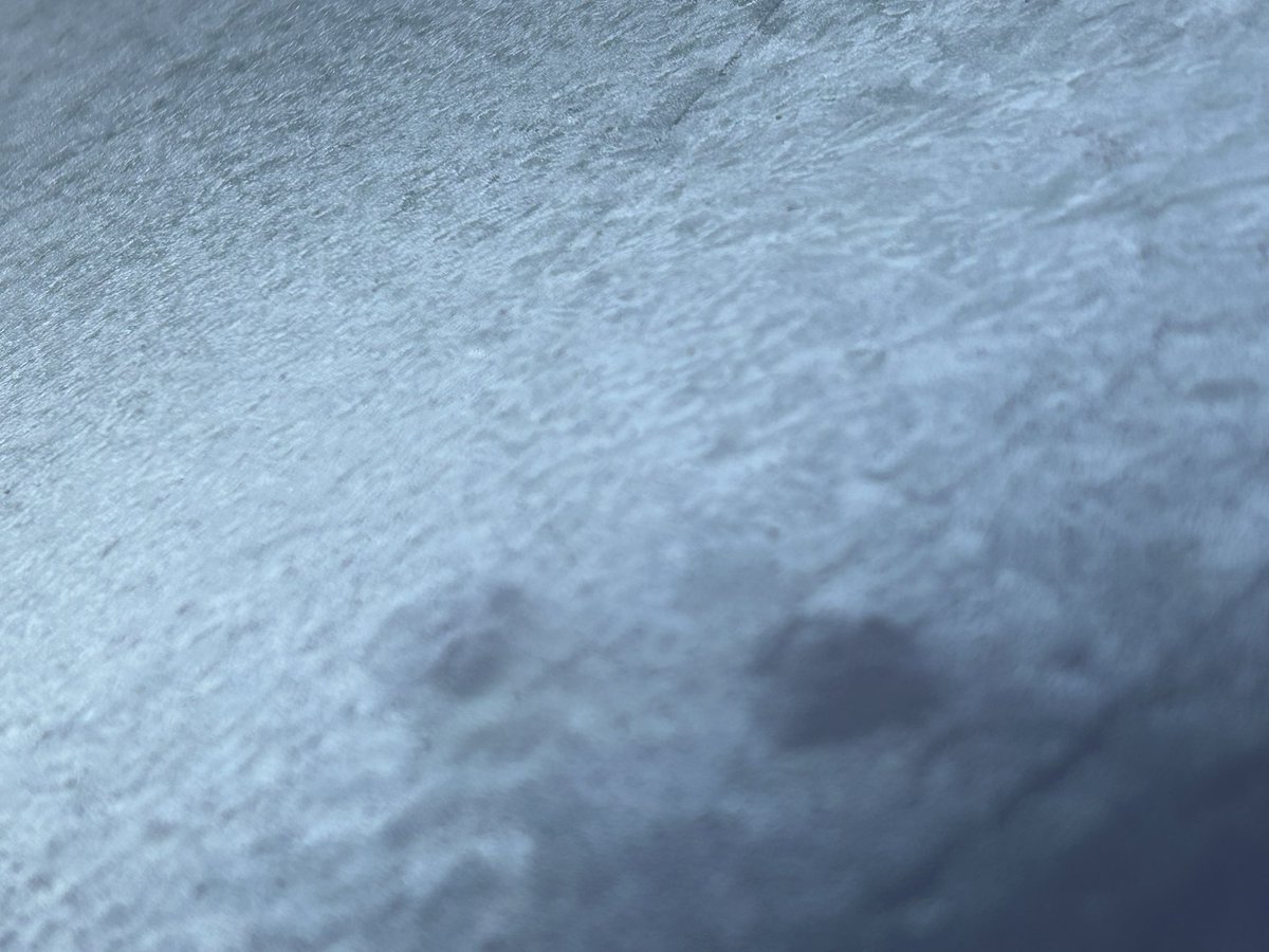 SavetheHellfire's tweet image. 😂 #carscreen