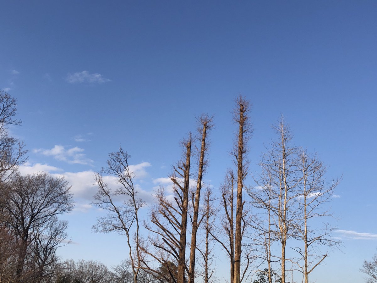 今日は春を感じさせてくれるとてもいい天気でホント気持ちよかったですね🌱
そしてそんな気持ちのいい青空の下で、今日もまた新たな漫画を車の中で描きまくってました。
この新たな漫画は以前描いてた2コマ漫画を題材に作り直したもので、いつか何らかの形でお披露目させていただけたらと思います🙇‍♂️ 