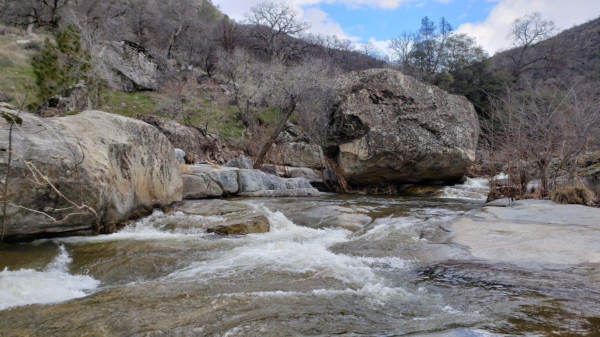 relivs-on-twitter-rt-mightykow-went-hiking-with-weee-desu-took