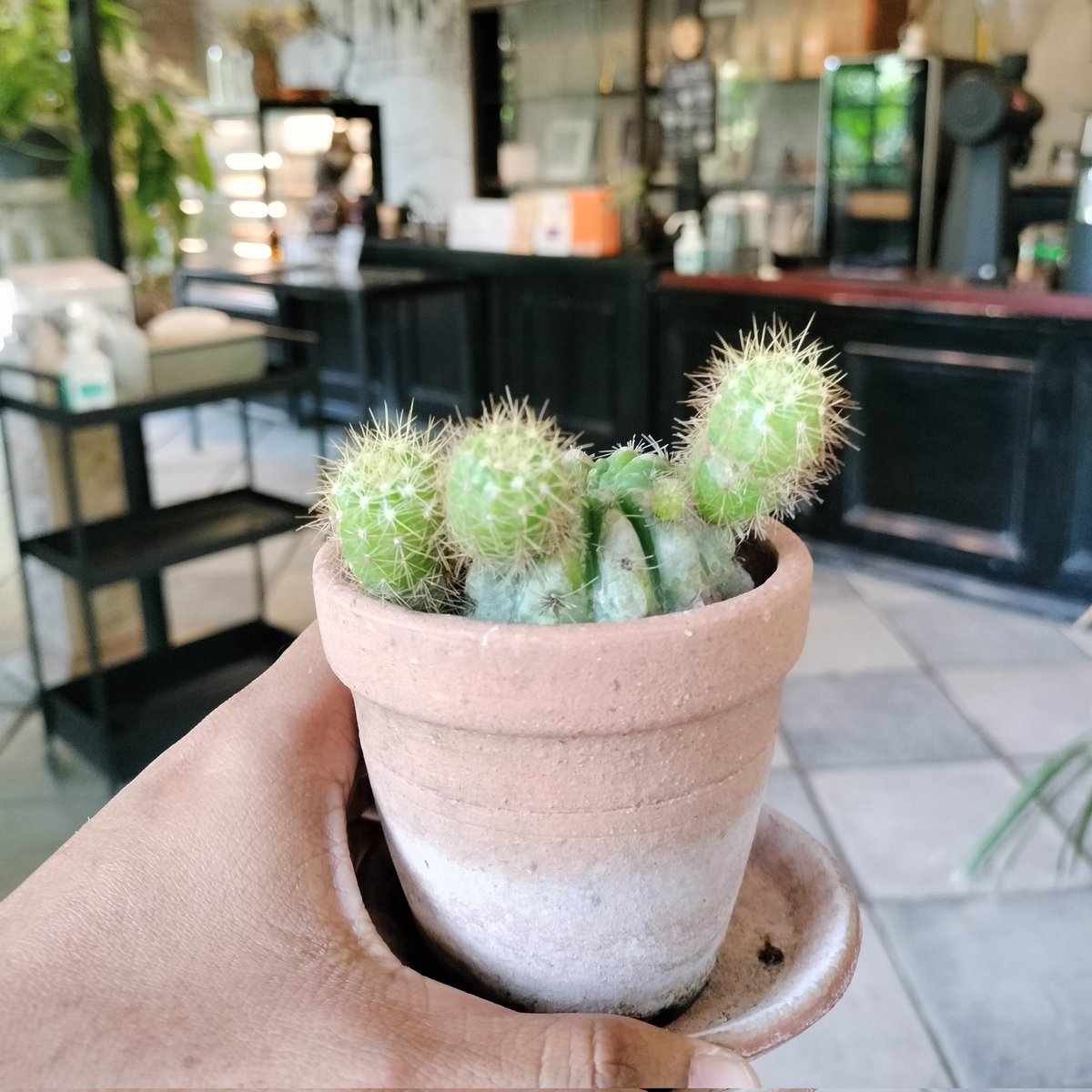 #NewProfilePic