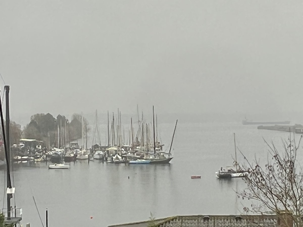 aristokitten's tweet photo. Ich erzähle Auswärtigen immer gern, dass es im Februar in Kiel Tage gibt, an denen Himmel und Wasser die gleiche Farbe haben. Heute ist so ein Tag. Nur wegen des Waldstreifens drüben kann man halbwegs sehen, wo was ist. https://t.co/zEbua1YaI0