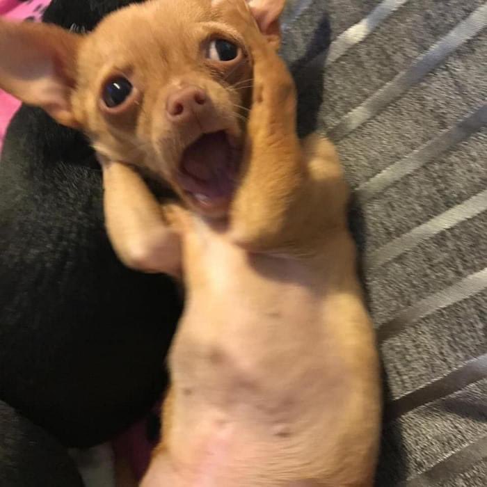 그냥.. 처음 기사 뜬 날은 진짜 딱. 이상태. 엿던 거 같음