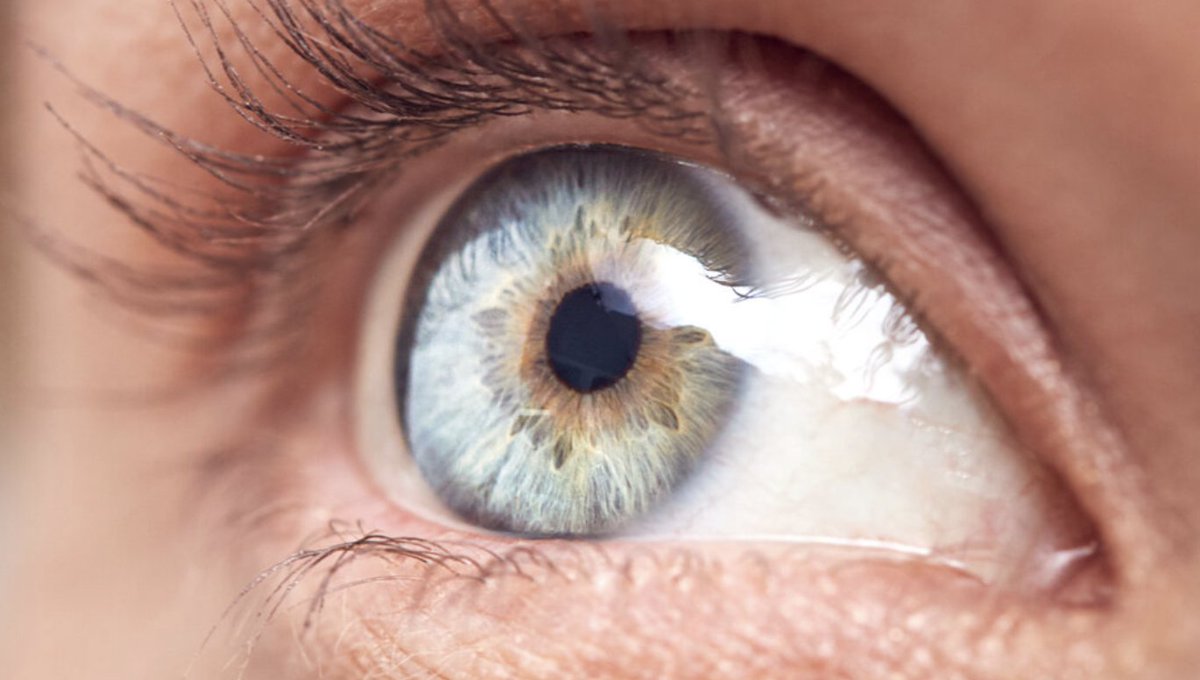 Our <a href="/SpaMedica/">SpaMedica</a> relationship continues to grow with over 25 sites now under our watchful eye. Welcome to the new hospital sites that have joined us <a href="/TexecomLtd/">Texecom Ltd</a> <a href="/DAHUA_UK/">Dahua Technology UK & Ireland</a> <a href="/HIKVISIONUK/">HIKVISION UK & Ireland</a> <a href="/PaxtonAccess/">Paxton Access</a> <a href="/VidexSecurity/">Videx Security Ltd</a> <a href="/CTEC_UK/">C-TEC</a> 
#intruderalarm
#cctv
#firealarm
#doorentry
#nursecall