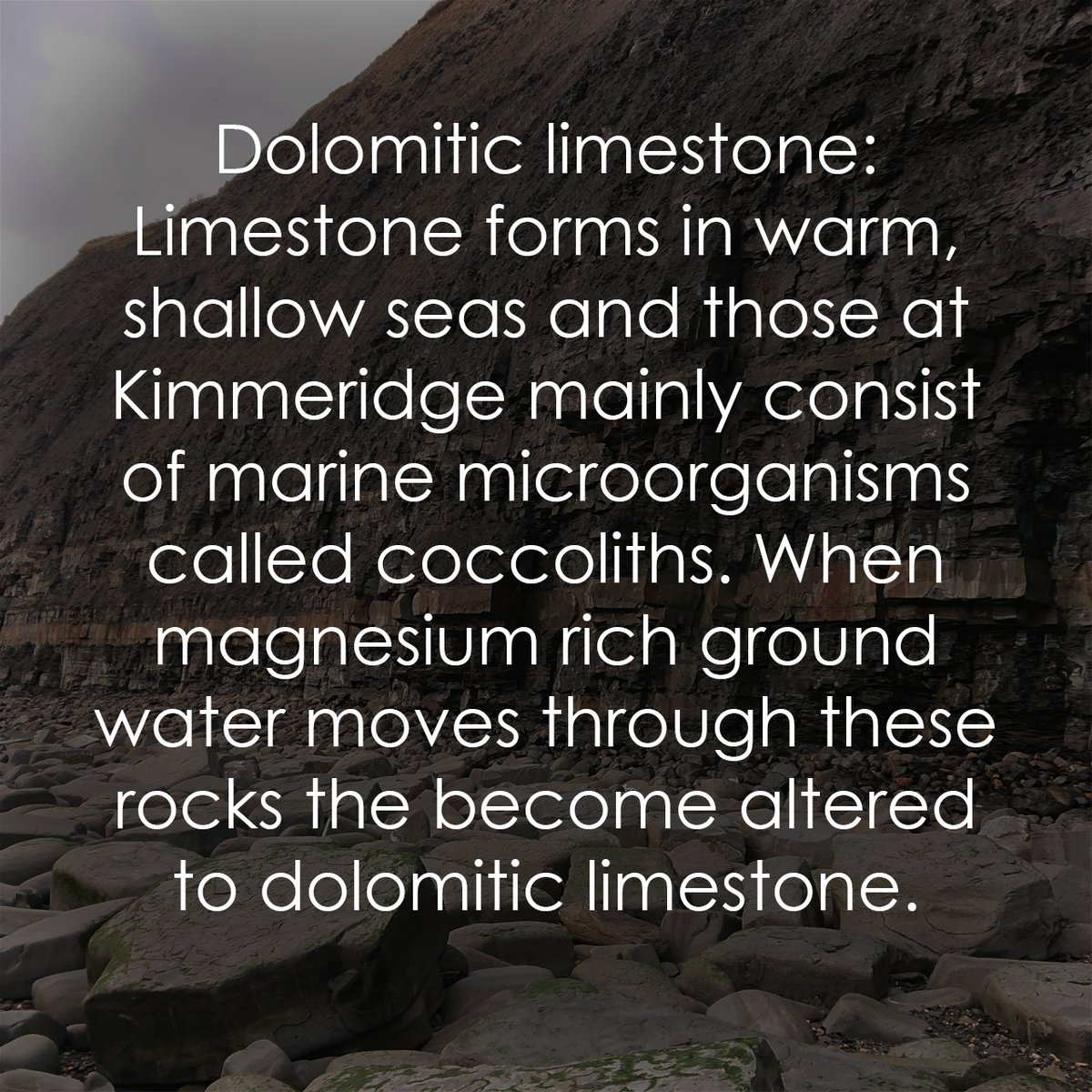 TEC_Kimmeridge's tweet image. 🎨 | Does anyone know what colour the Dolomite Limestone at Kimmeridge is? #geology #geologyfacts #kimmeridge